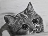 by Felipa Cang-maong