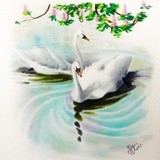 by Melissa Slight