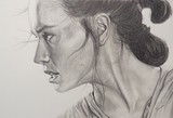 by Lane Sanders