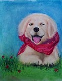 by Pat 'Gracie'  Merewether