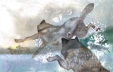 by Tracy Herrmann
