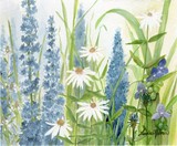 by Laurie Rohner