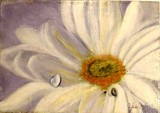 by Yvette Gaudreau