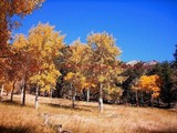 by Randy Schwanke