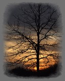 by craig moline