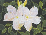 by Susan Marie Pieri