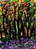 by Anna Lisa Barbato