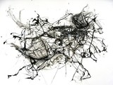by leslie rothstein