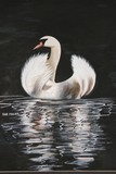 by Sue Miller