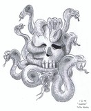 by rodney shortsleeve