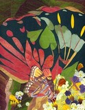 by Shelley Xie