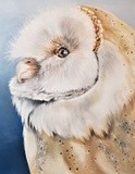 by nicolee payne