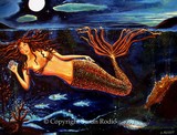 by Susan Rodio