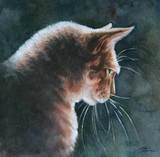 by Robyn Ryan