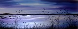 by diane  jennings