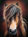 by Dmitry Guskov