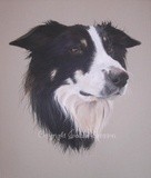 by Joanne Simpson-Connor