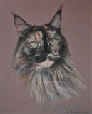 by Joanne Simpson-Connor