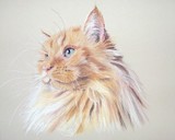 by Joanne Simpson-Connor