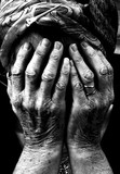 by Umberto Miceli