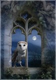 by Angela Jayne Barnett