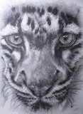 by Barbara Keith