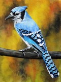 by Barbara Keith