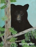 by Gloria Youngdeer