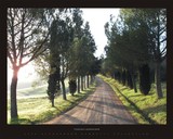 by alessandro galex