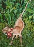 by susan beswick