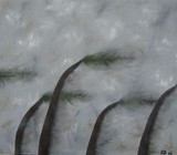 by Samantha Dunford