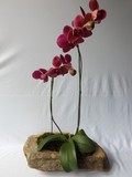 by Pedra Viva mini jardins