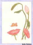 by Betty Fletcher