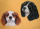 by Adele  Beverley