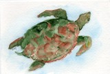 by Doris Blessington