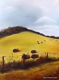 by Donna Taylor