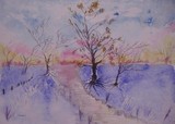 by robert minchin