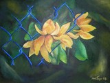 by Anna Taper