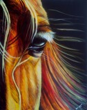 by Joanna Ulinska Lisowska
