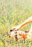by Julia Davis