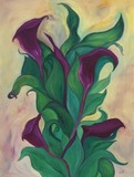 by Suelene Rebouças