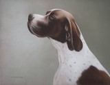 by Mark Whittaker