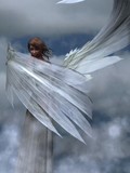 by Alexander Butler