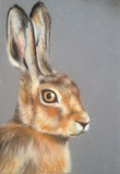 by Liz Mclelland