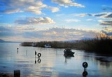 by Shqipe H