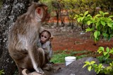 by Vidhya Jeganmohan