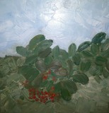 by Rachel Reichert