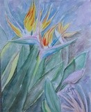 by Patricia Elgee