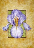 by Tamara Newman