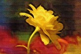 by Holly DeLaughter